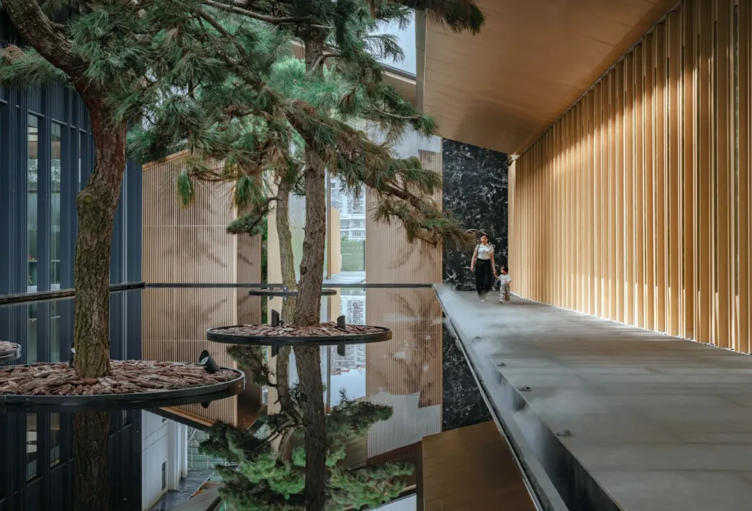 1734597558126457.jpg 1734597512686.jpg