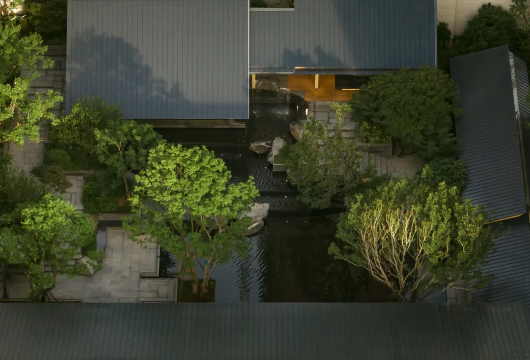 1734597588123444.jpg 1734597526053.jpg