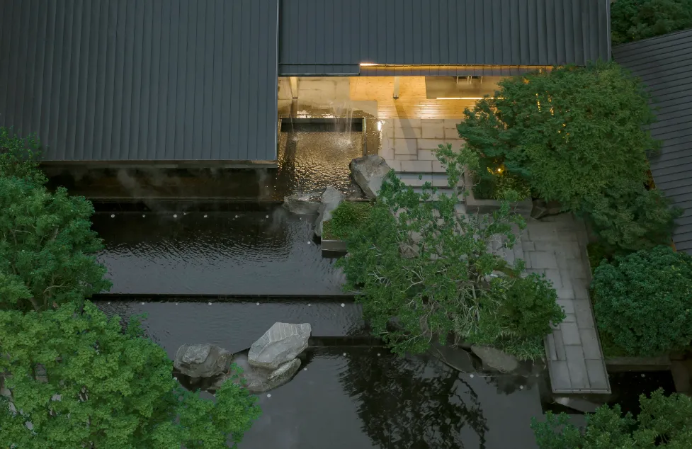 1734597595796541.jpg 1734597528573.jpg