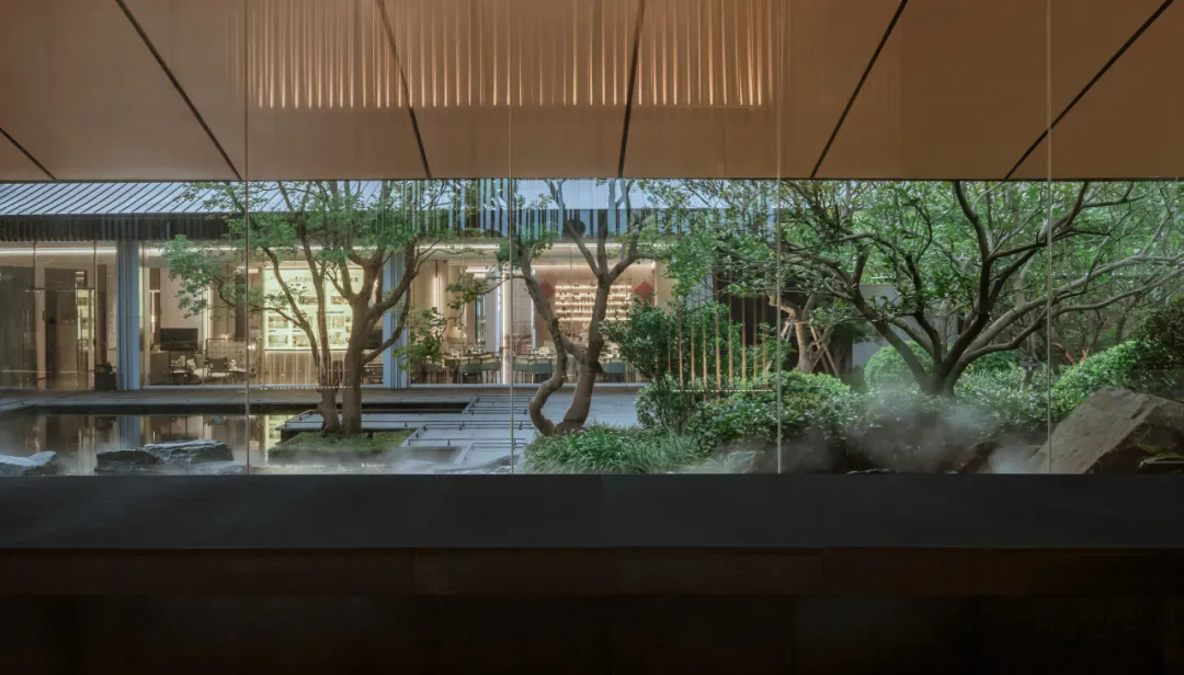 1734597633206764.jpg 1734597541793.jpg