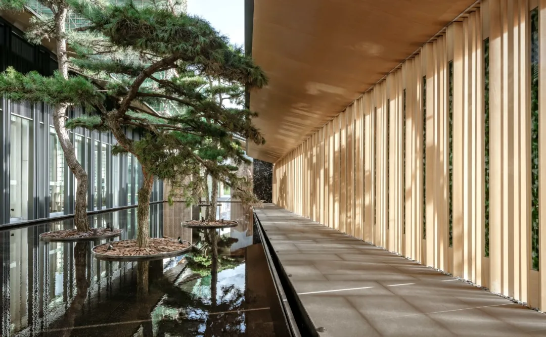 1734597751153857.jpg 1734597671608.jpg