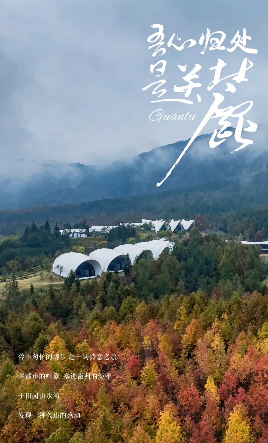 1734662928135940.jpg 1734662826207.jpg