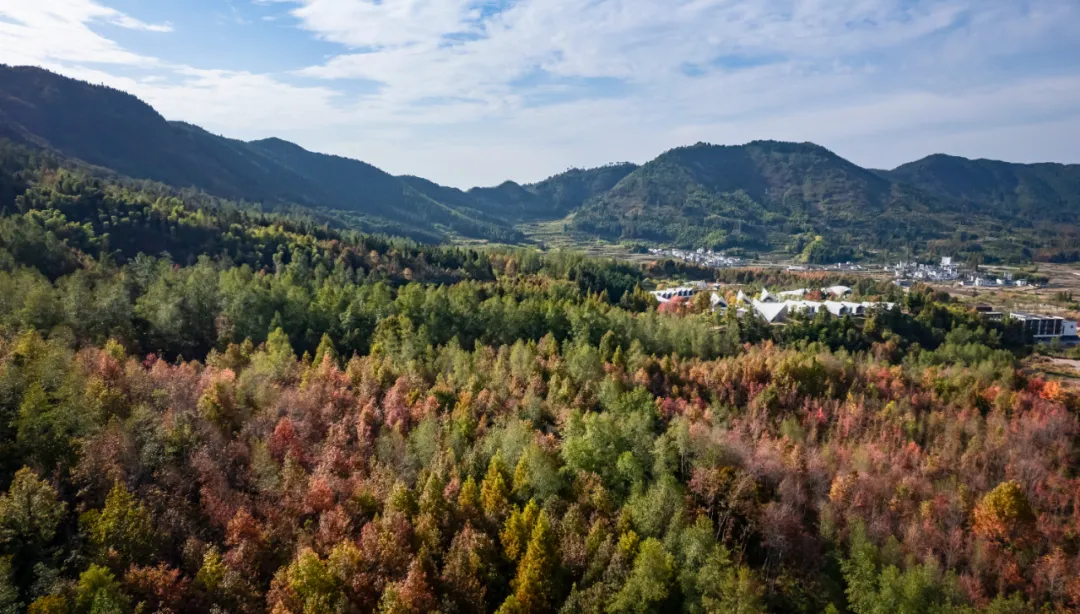 1734662968198851.jpg 1734662905406.jpg