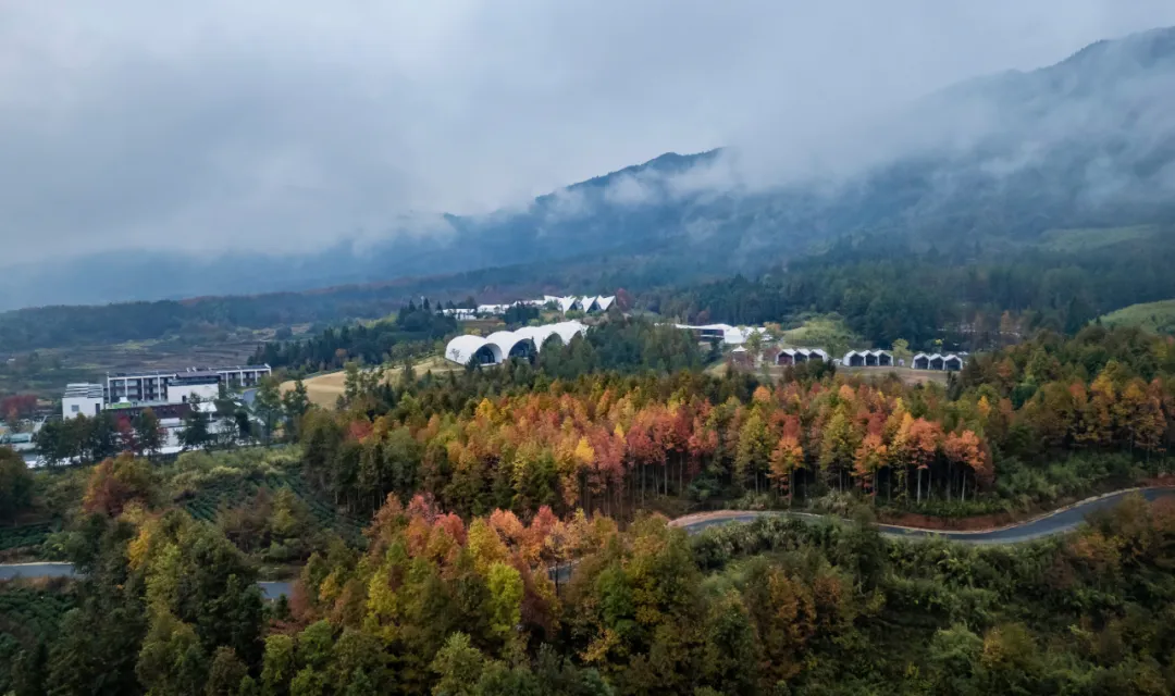 1734663025409743.jpg 1734662985485.jpg