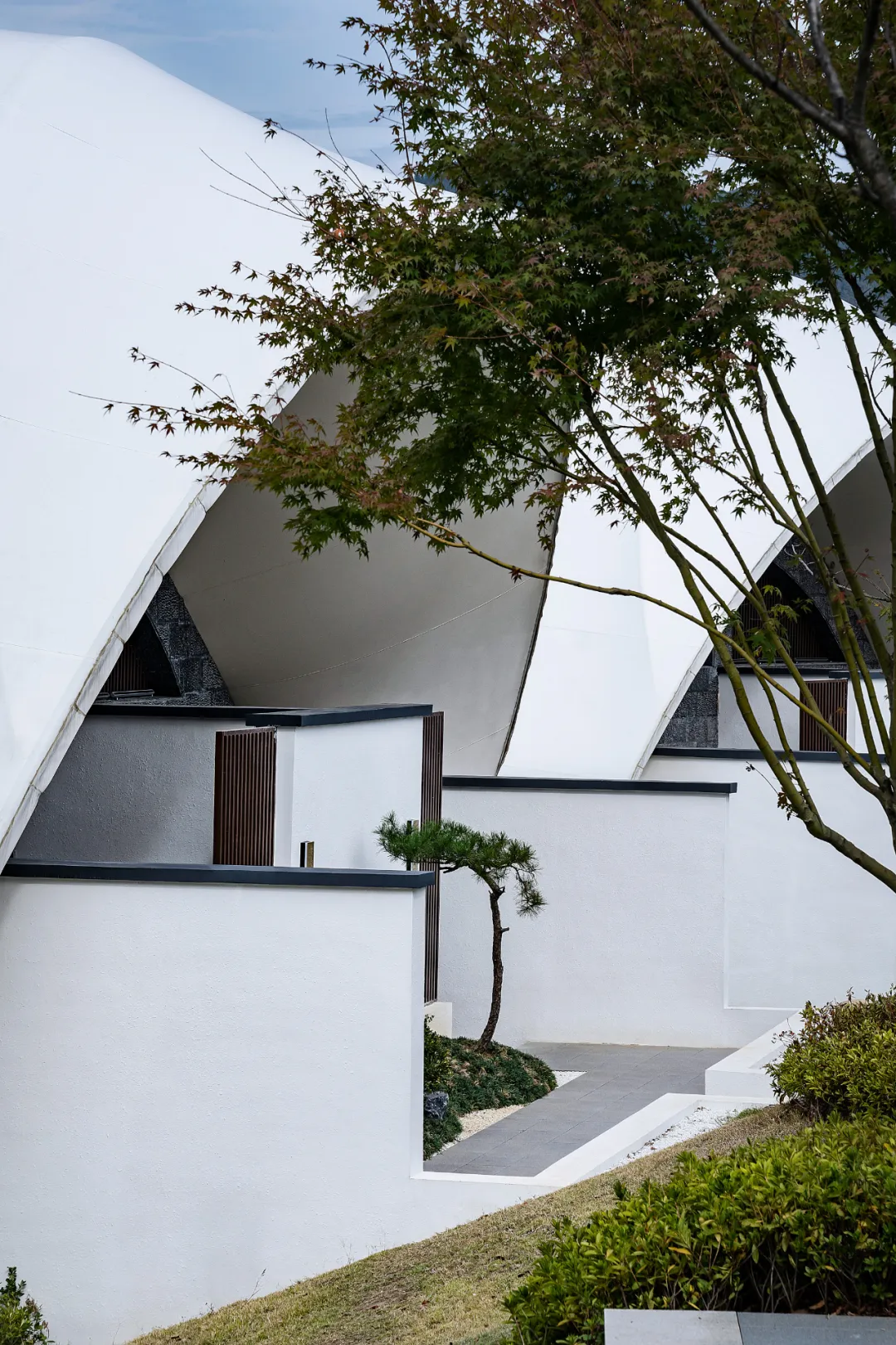 1734663142155591.jpg 1734663089082.jpg