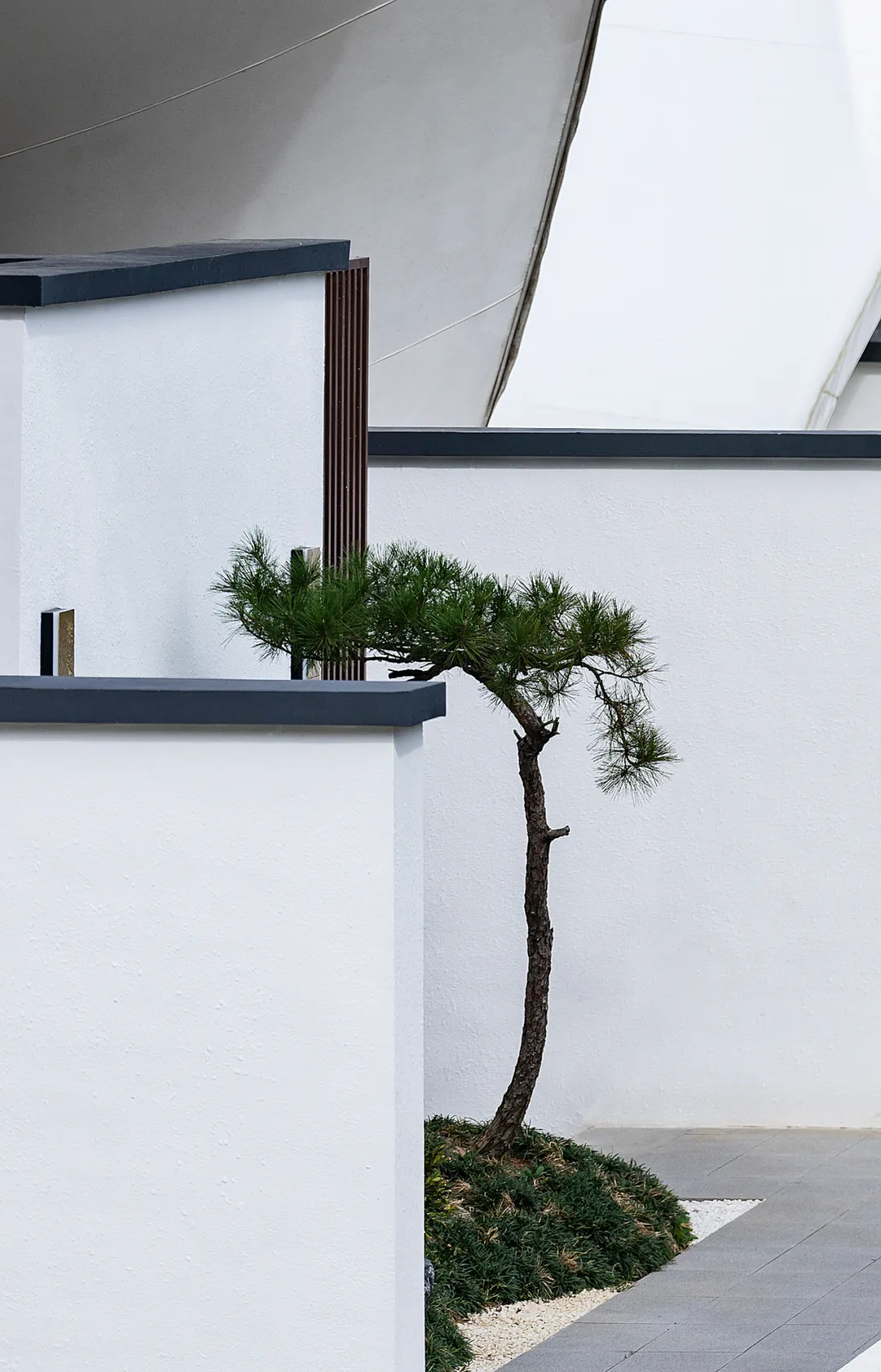 1734663188207939.jpg 1734663150401.jpg