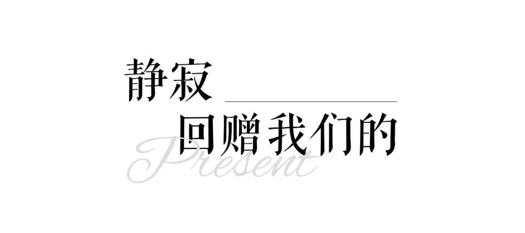 1734663204414241.jpg 1734663156198.jpg