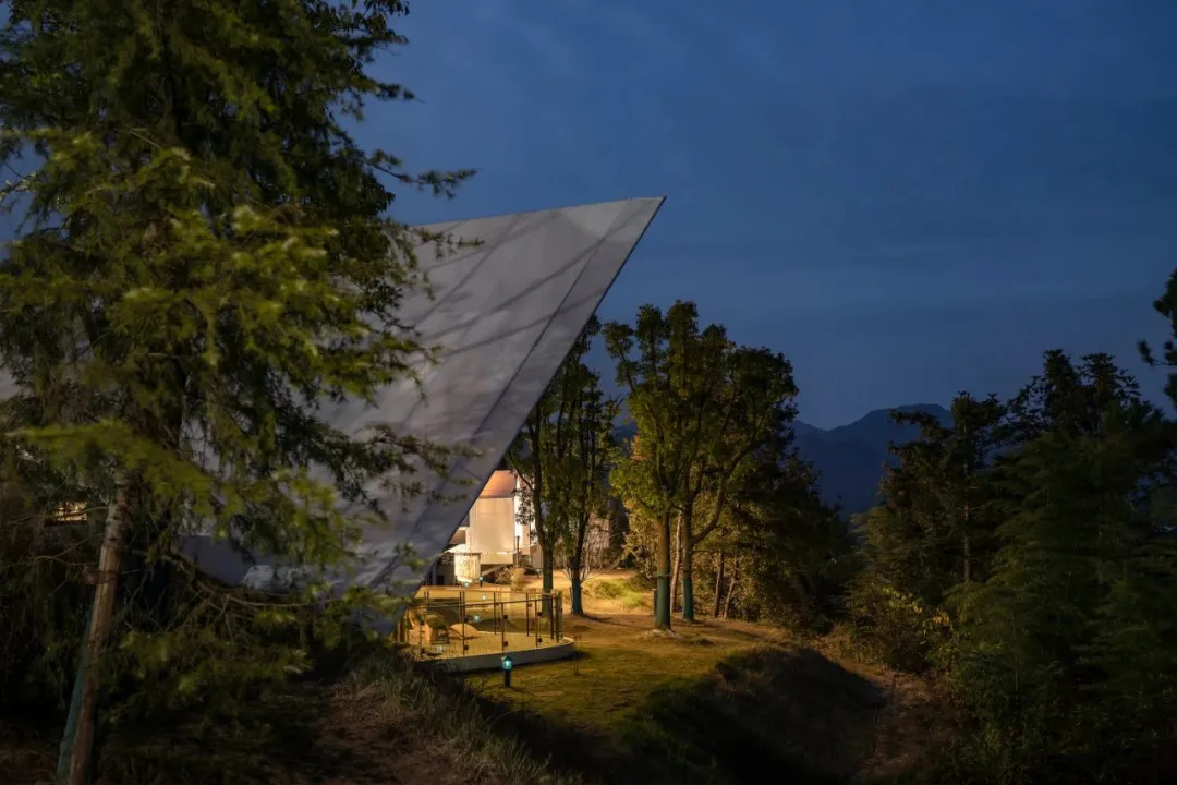 1734664170208865.jpg 1734664131510.jpg