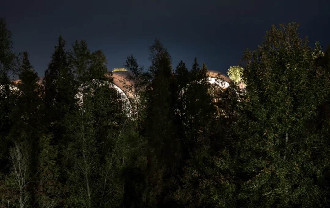 1734664190190925.jpg 1734664134430.jpg