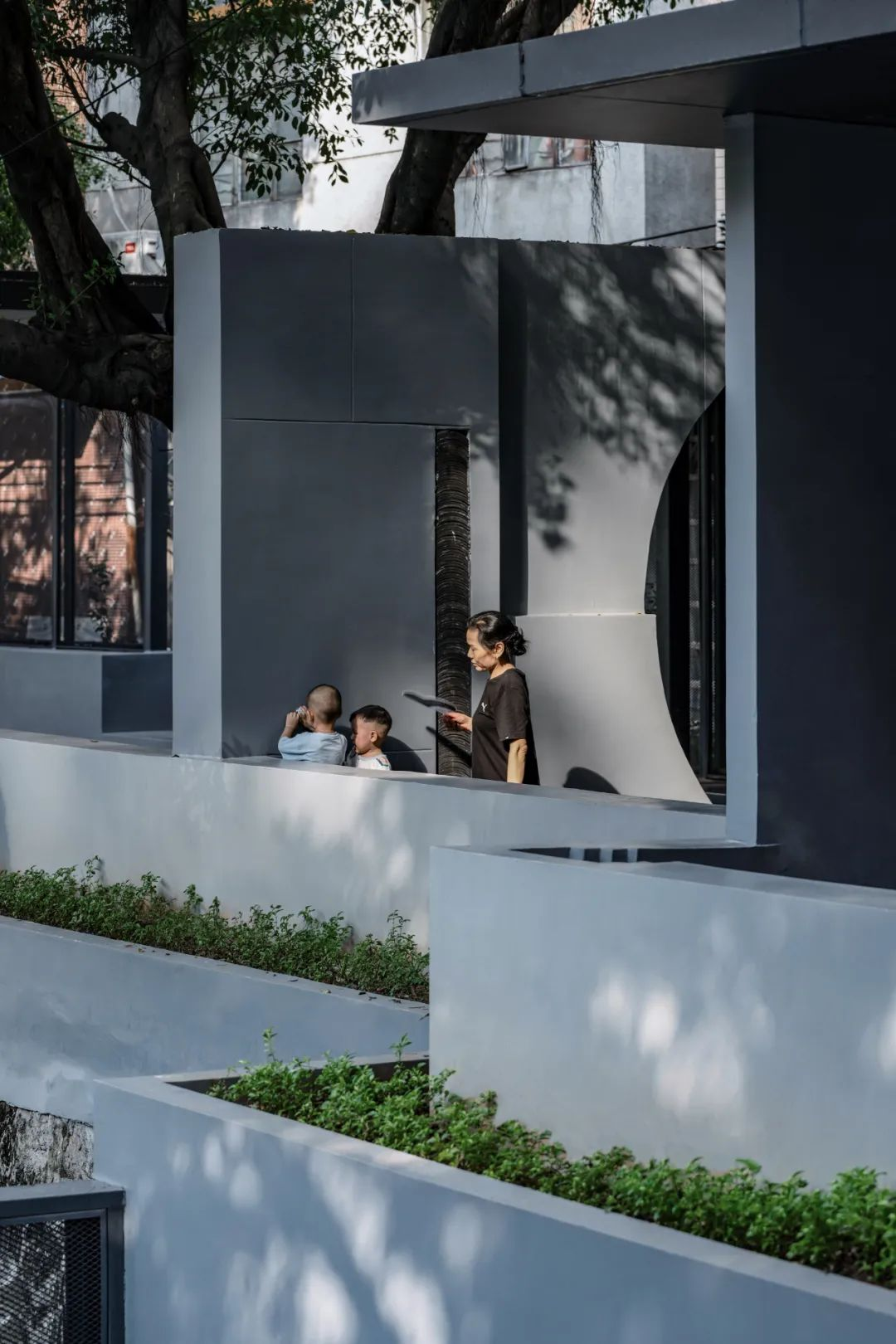 1734667176856950.jpg 1734667110191.jpg