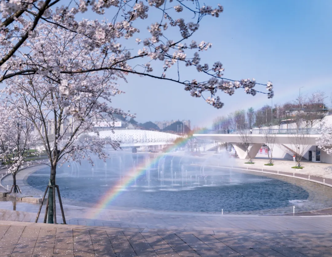 1734687496828931.jpg 1734687310005.jpg