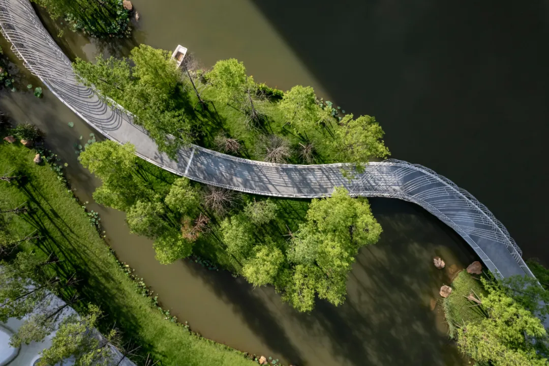 1734687510842790.jpg 1734687314297.jpg