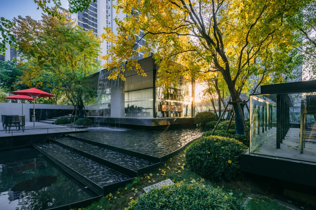 1734920149175172.jpg 1734920064824.jpg