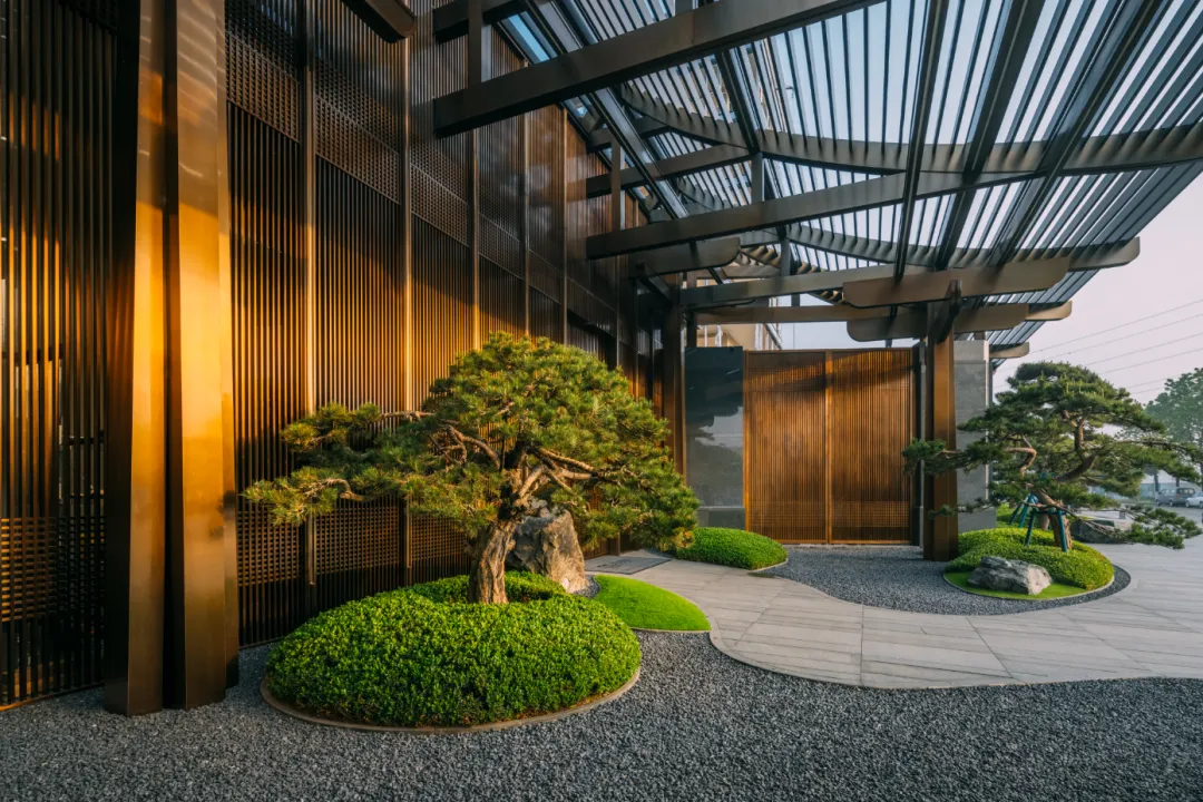 1734920251157703.jpg 1734920208607.jpg