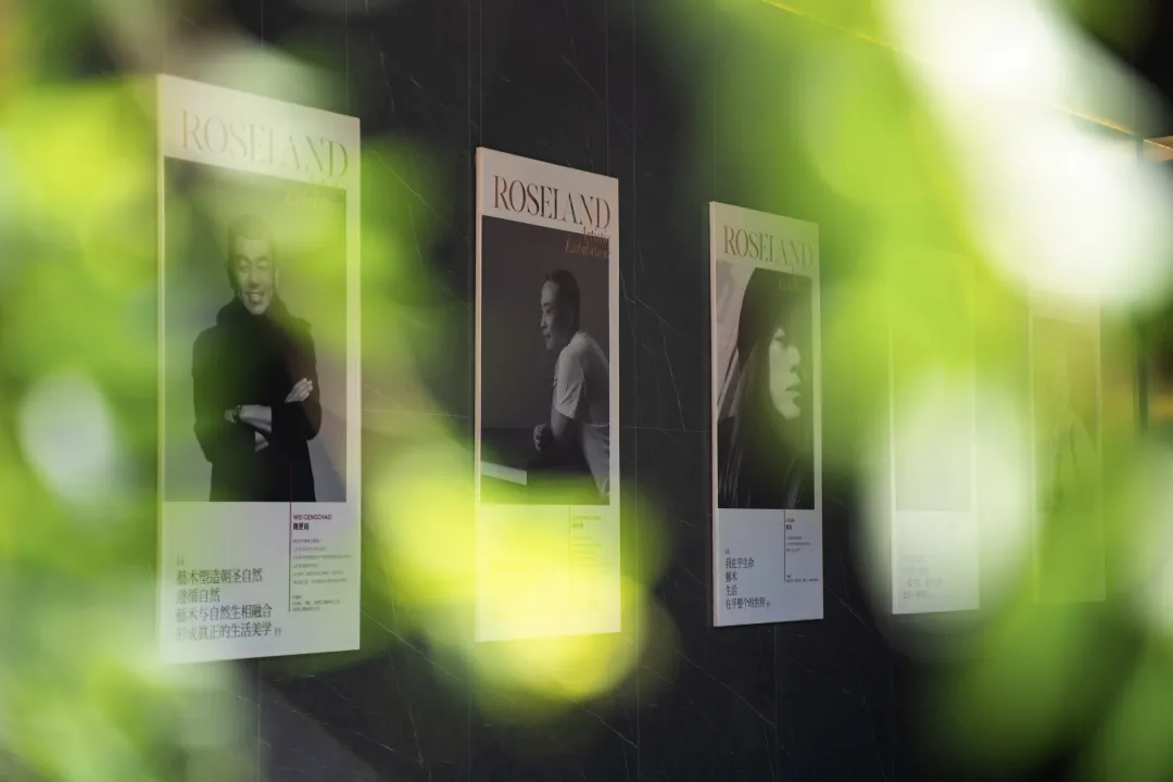 1734920871125107.jpg 1734920857144.jpg