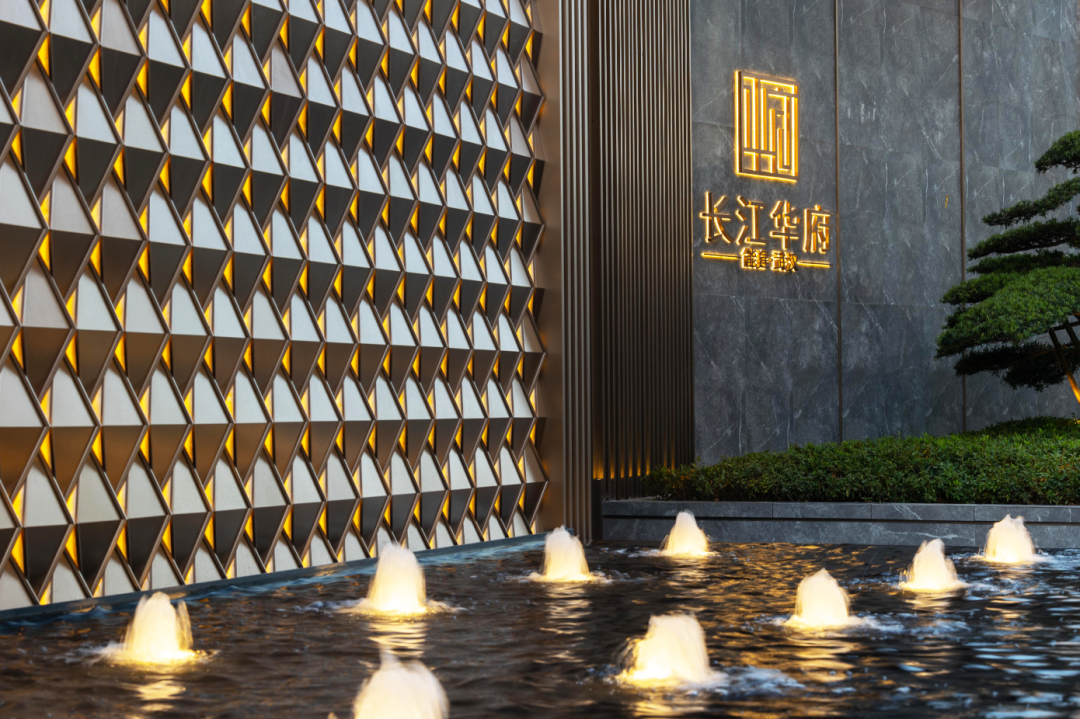 1734921902723637.jpg 1734921885622.jpg