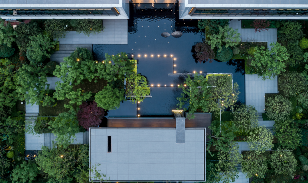 1734923221124570.jpg 1734923104279.jpg