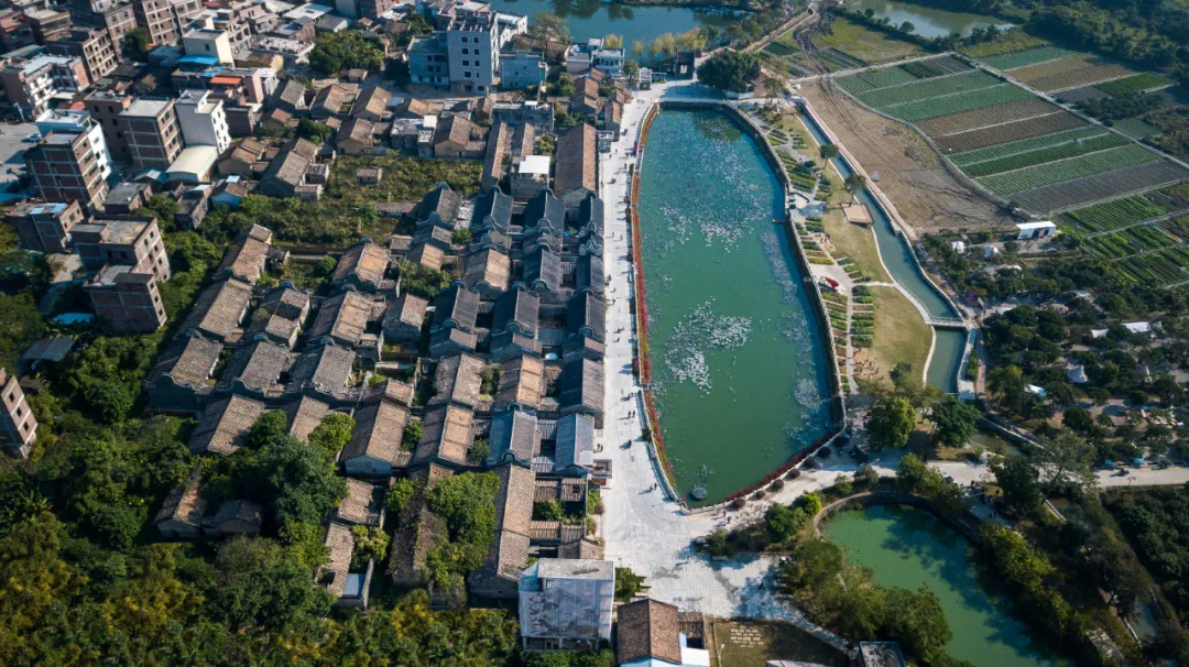 1734925059317835.jpg 1734925014703.jpg