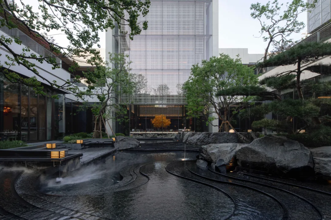 1734937431148234.jpg 1734937370438.jpg