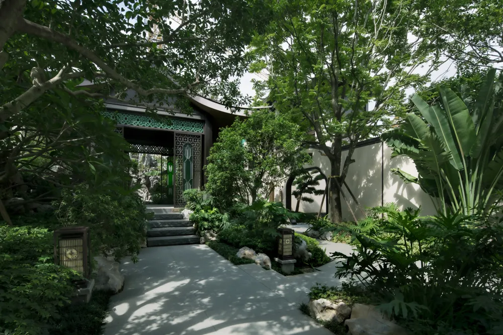 1734939192414158.jpg 1734939043932.jpg