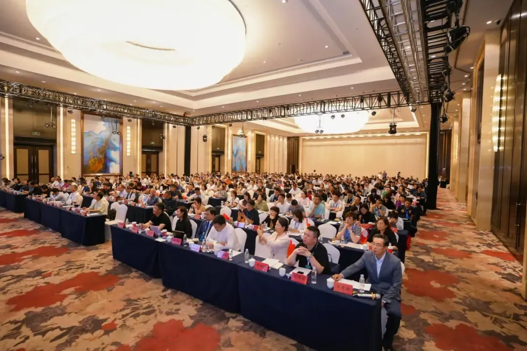 1734948482197485.jpg 1734948477885.jpg