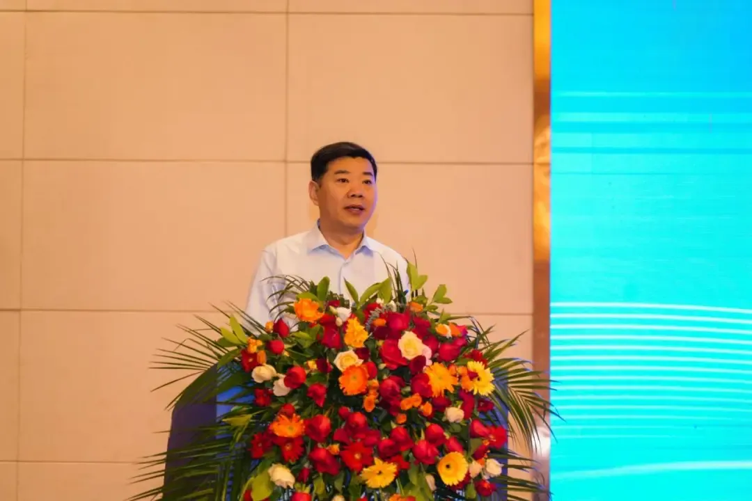 1734948498208793.jpg 1734948493562.jpg