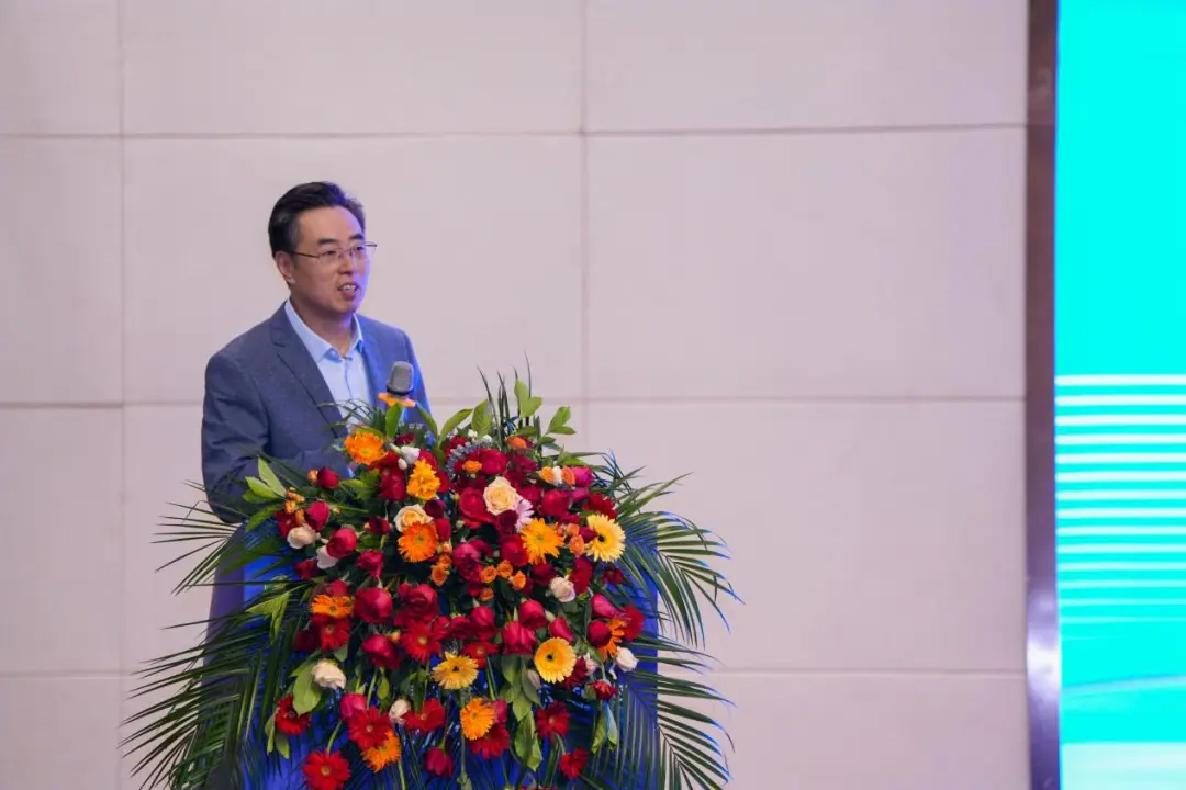 1734948670106558.jpg 1734948666113.jpg