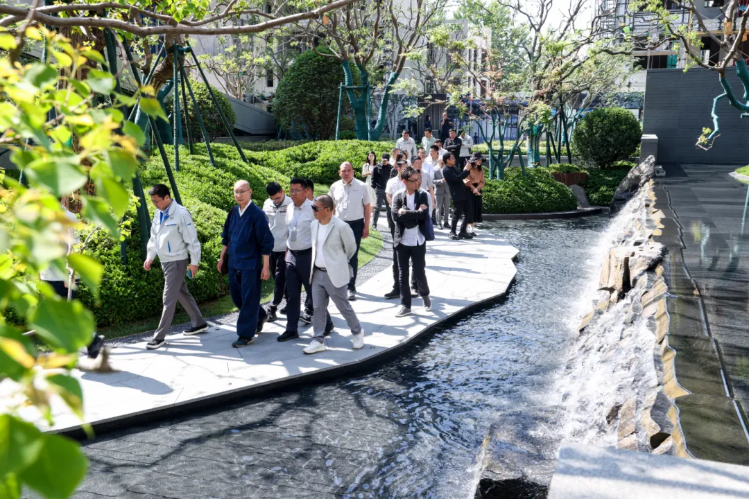 1735020964195159.jpg 1735020894503.jpg