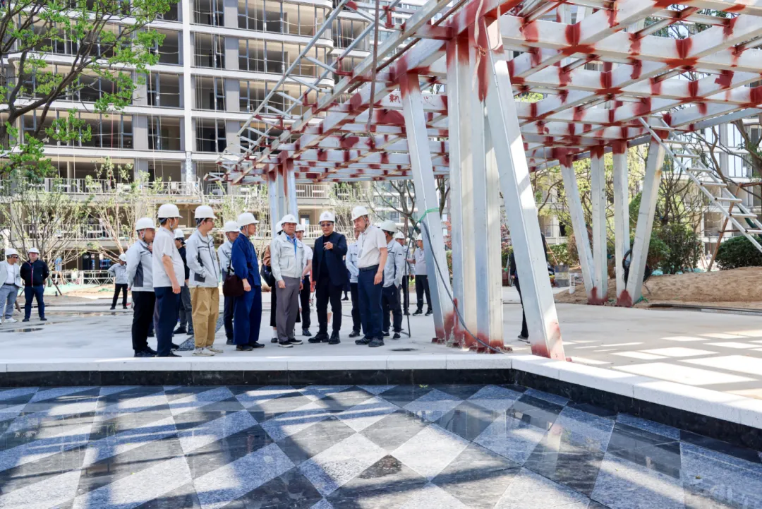 1735020975194634.jpg 1735020897522.jpg