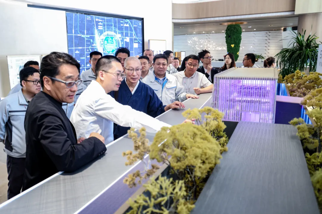 1735020990121046.jpg 1735020904386.jpg