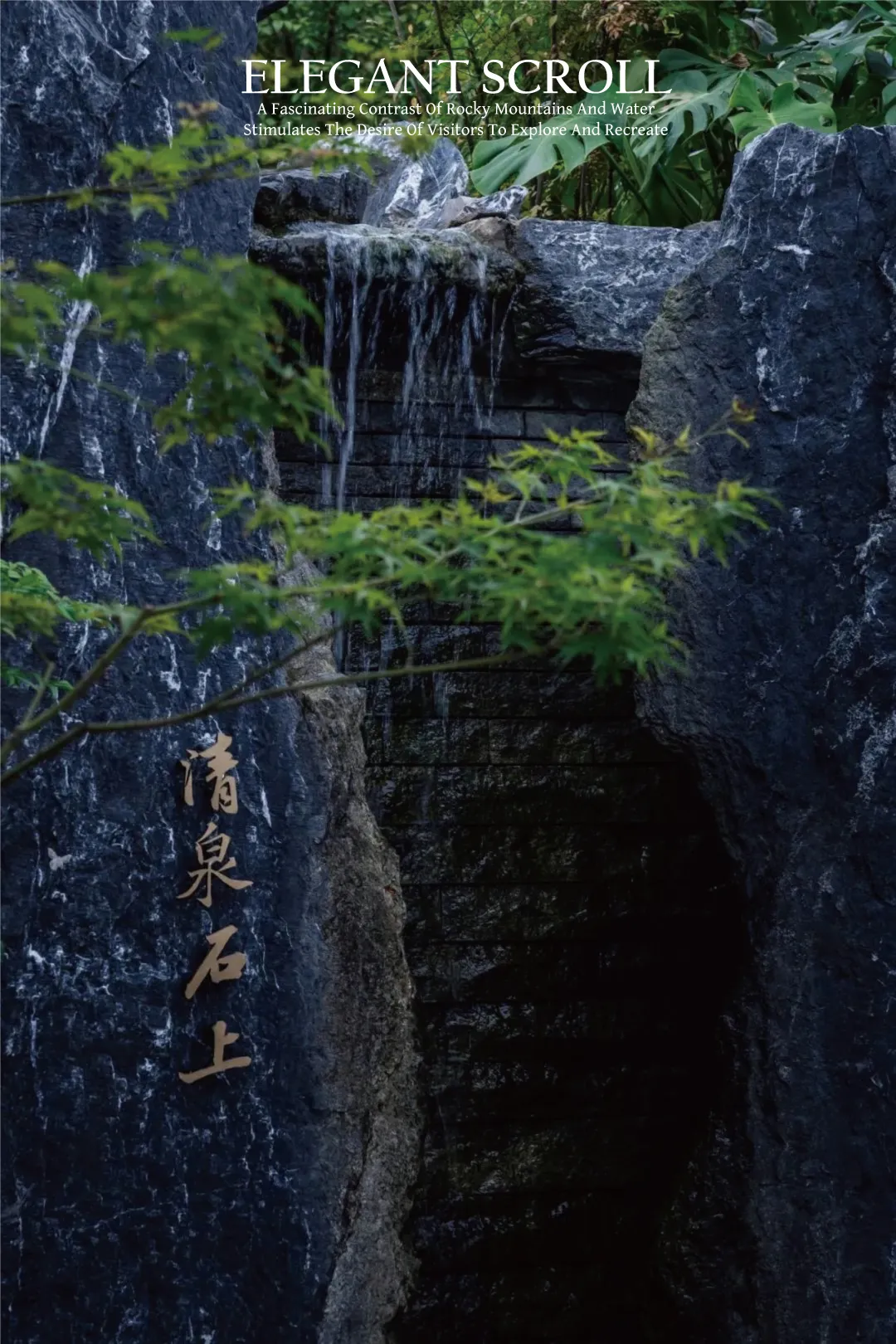 1735612721197441.jpg 1735612656737.jpg