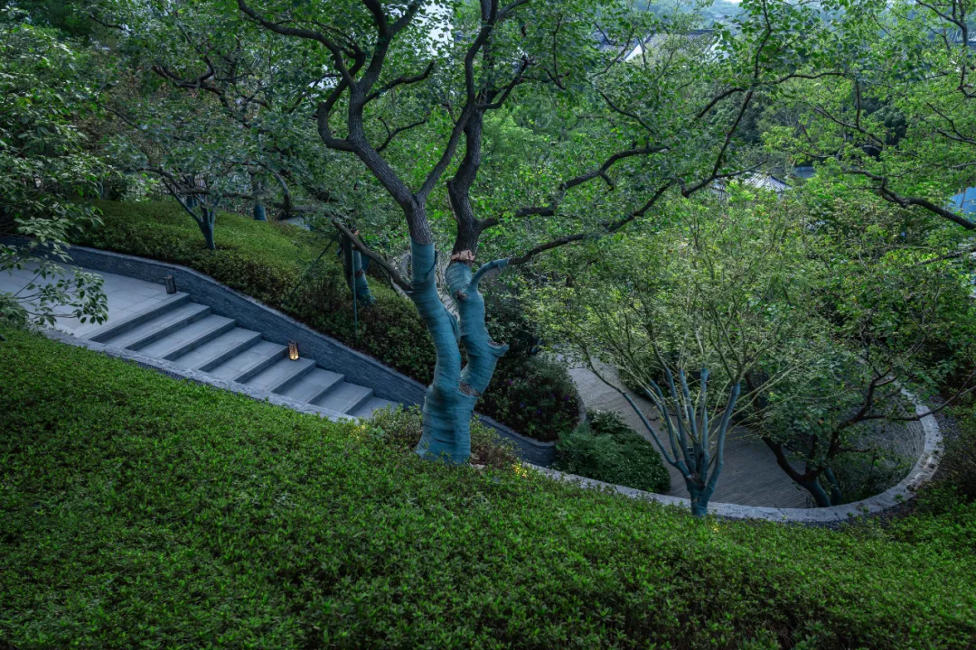 1735613245124176.jpg 1735613233118.jpg