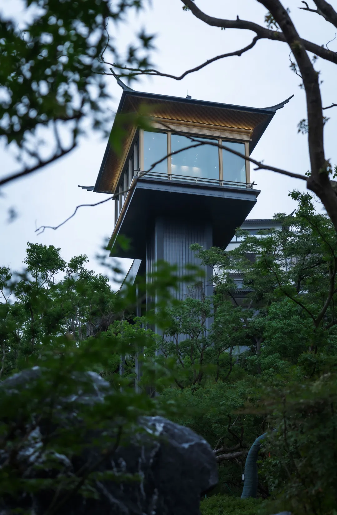 1735613316531937.jpg 1735613301522.jpg