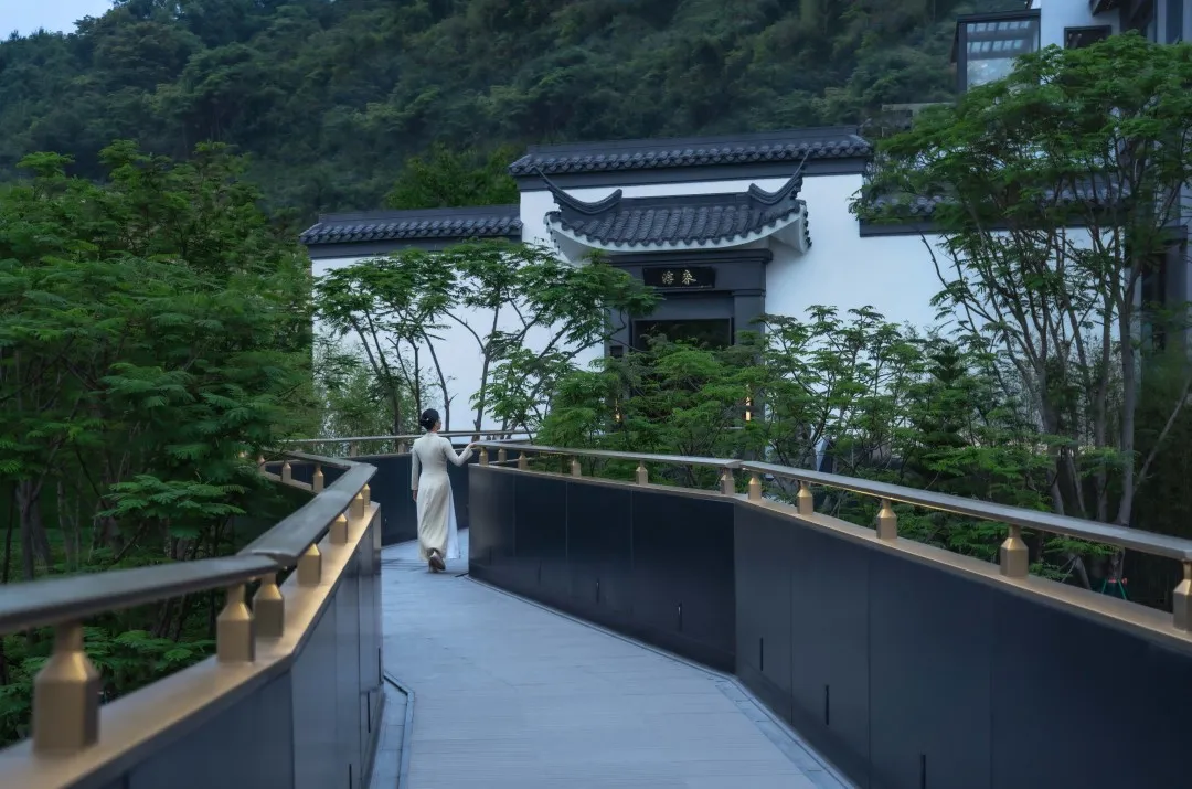 1735613691123815.jpg 1735613676316.jpg