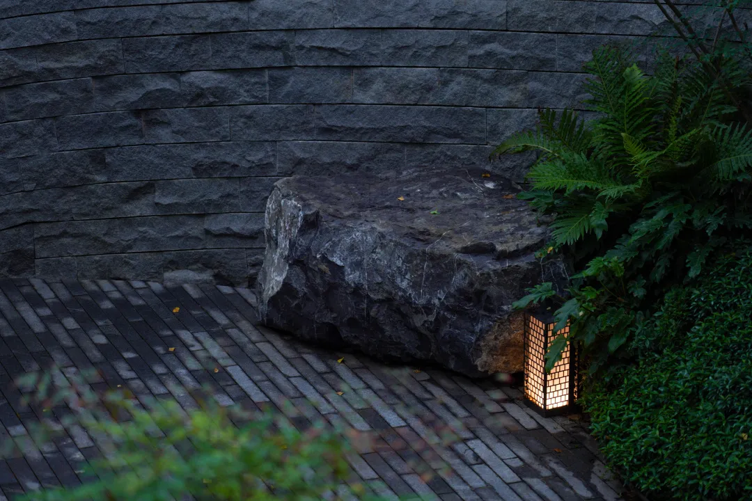 1735613859210792.jpg 1735613843764.jpg