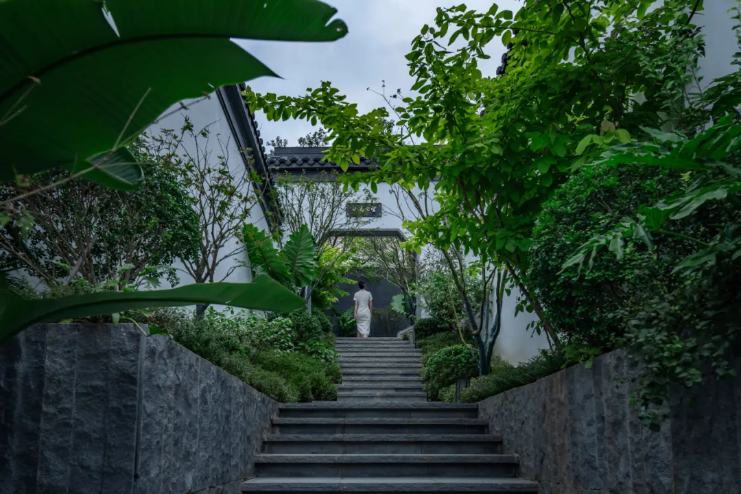 1735614931768411.jpg 1735614929012.jpg