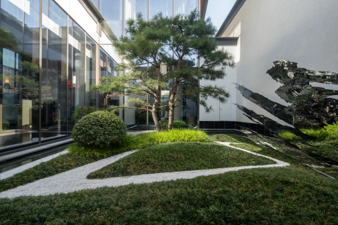 1735625477798606.jpg 1735625463898.jpg