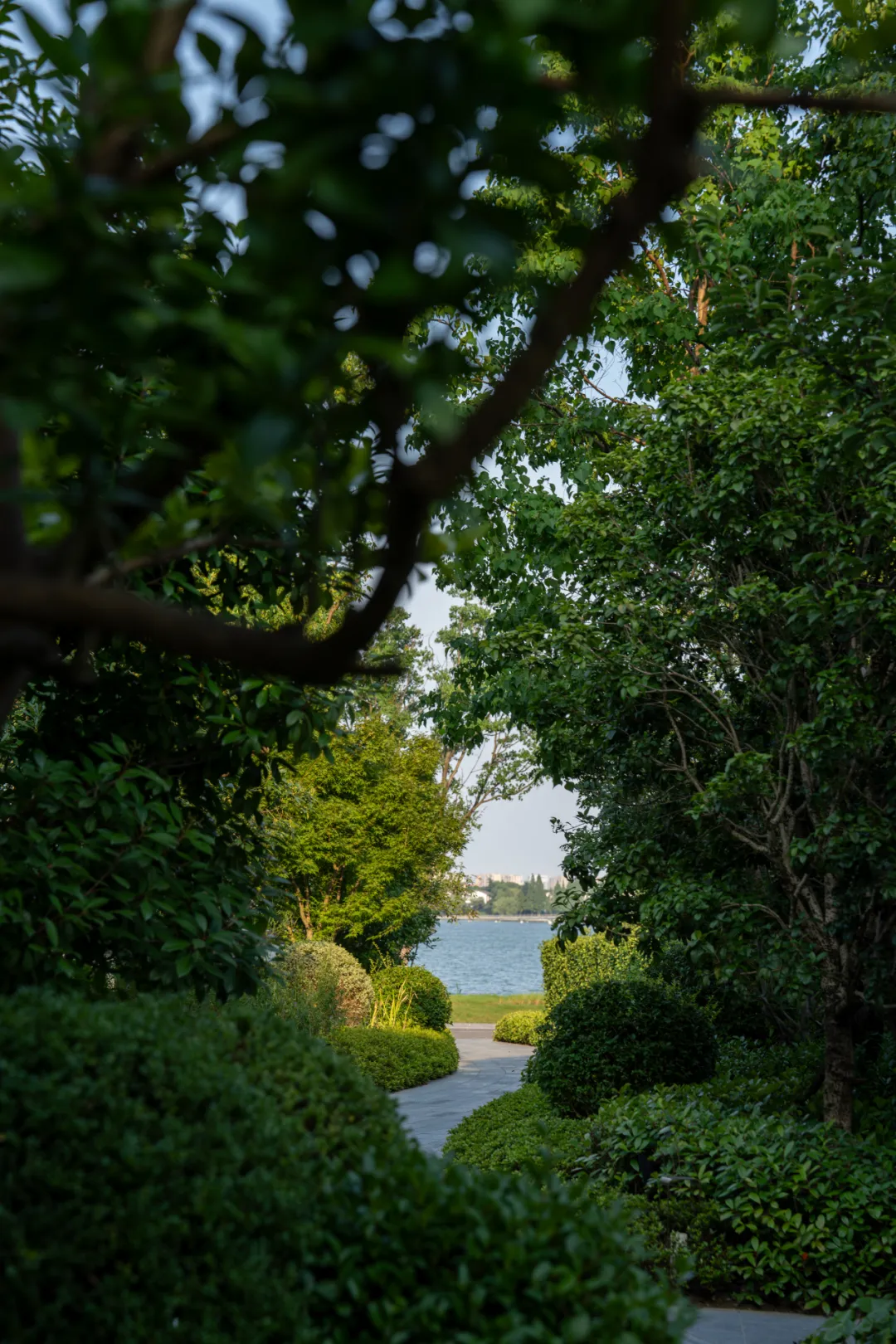 1735625543148045.jpg 1735625532953.jpg