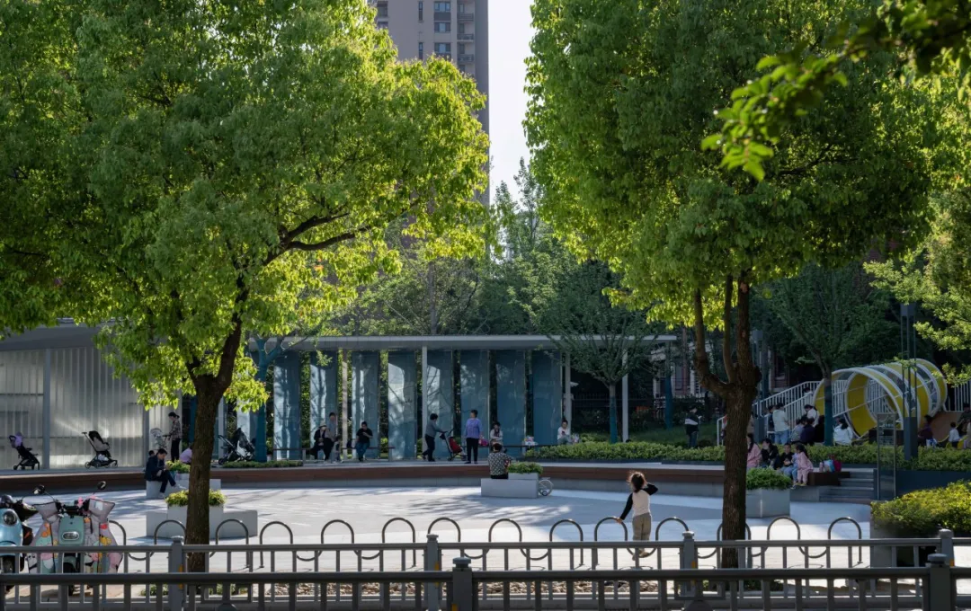 1735629714271060.jpg 1735629684553.jpg