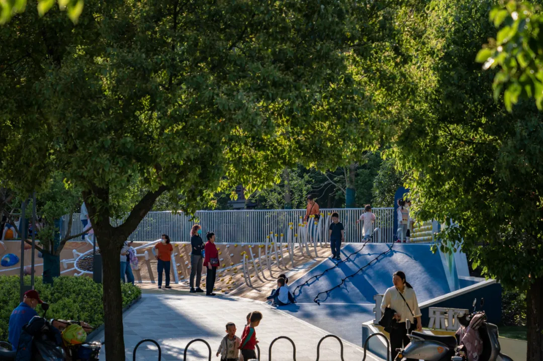 1735629807704802.jpg 1735629795451.jpg