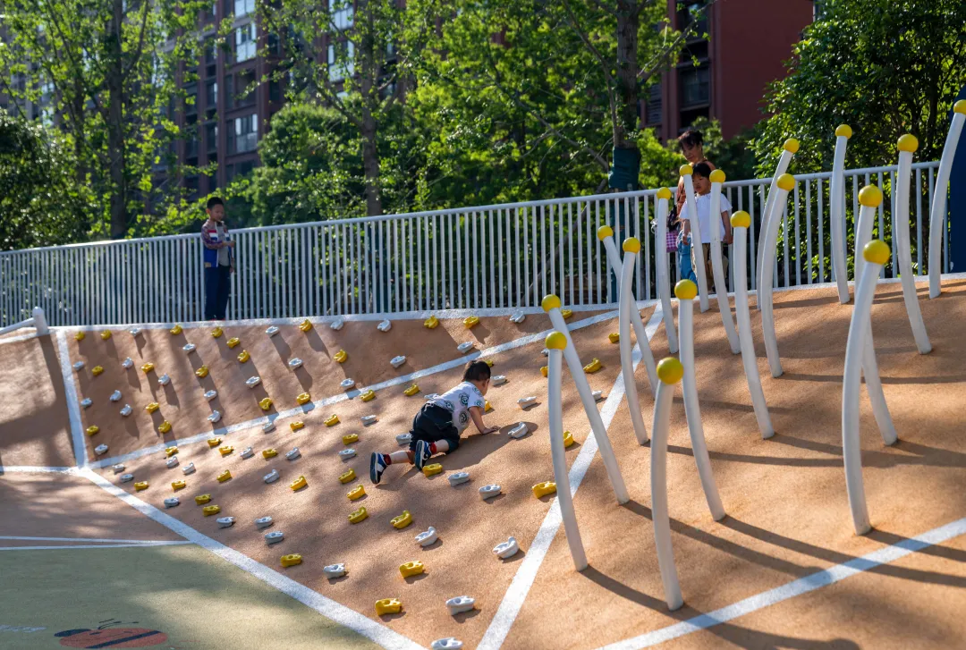 1735629847192588.jpg 1735629818845.jpg