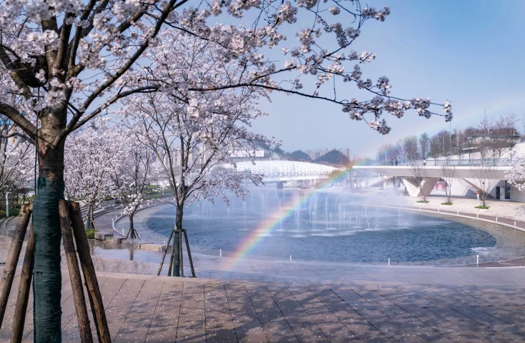 1735631072322655.jpg 1735631051553.jpg