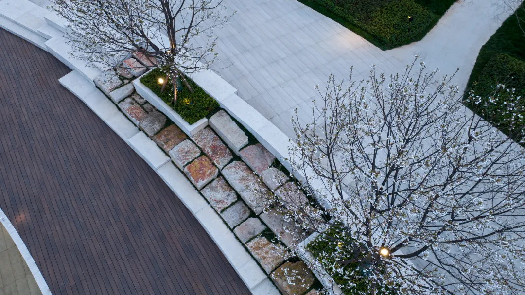 1735631114816124.jpg 1735631106060.jpg