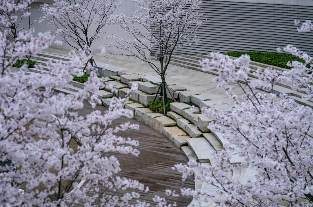 1735631119740402.jpg 1735631108131.jpg