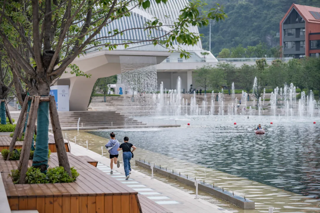 1735631256995514.jpg 1735631241762.jpg