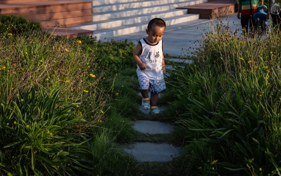 1735632586182167.jpg 1735632568985.jpg