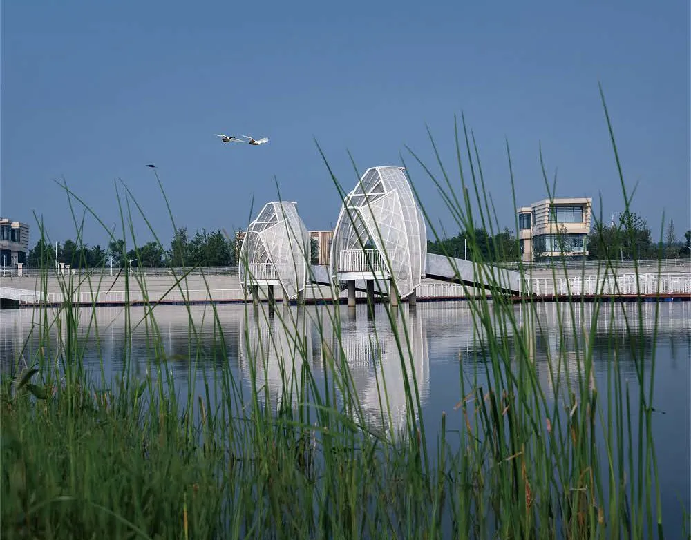 1735632604817271.jpg 1735632596246.jpg