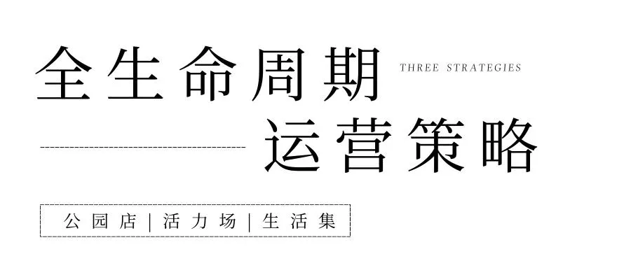 1735633982880094.jpg 1735633976400.jpg