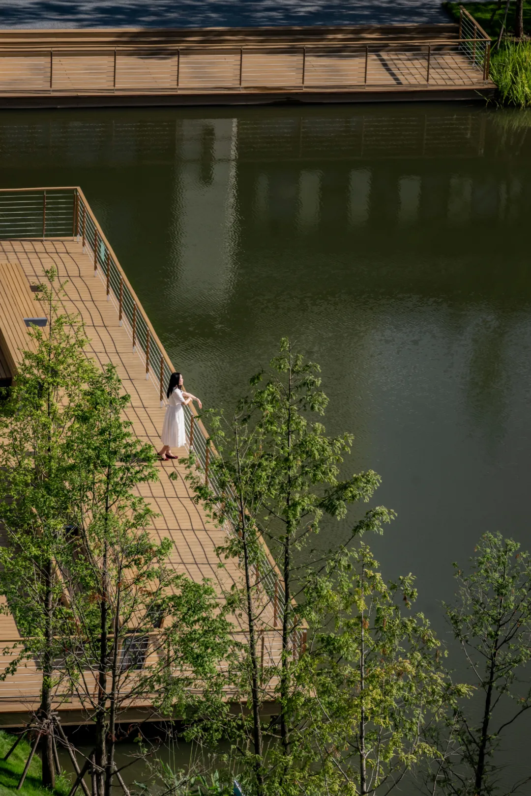 1735634087641359.jpg 1735634077219.jpg