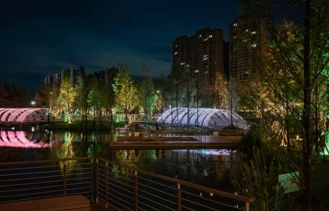 1735634343176494.jpg 1735634337883.jpg